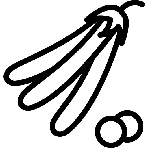 Peas healthy food organic diet icon