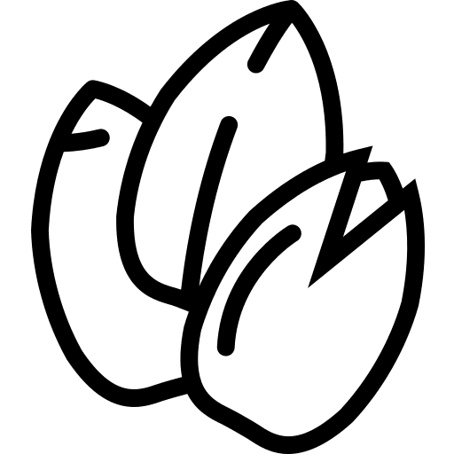 Seeds vegan food organic icon