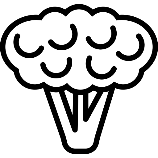 Cauliflower food cauliflower vegetarian icon