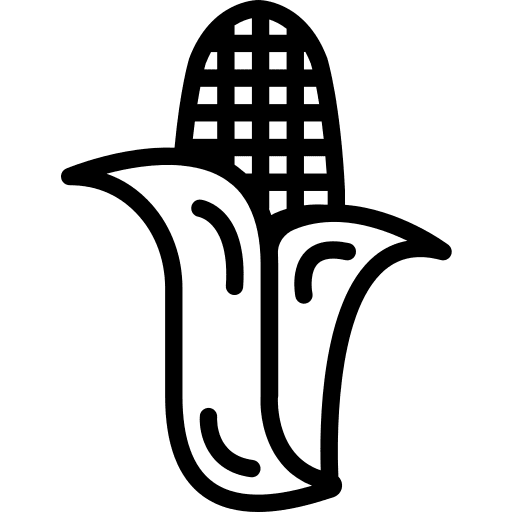 Corn food corn diet icon