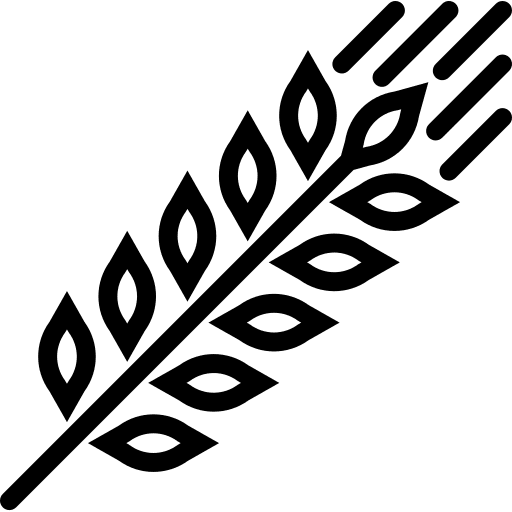 Grain grain healthy veg icon