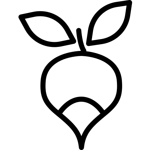 Radish vegan food diet icon