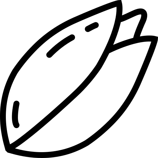 Pistachio vegetarian pistachio vegan icon