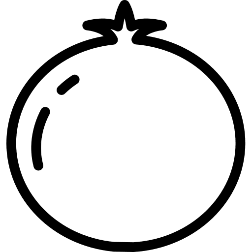 Pomegranate healthy food vegetarian diet icon