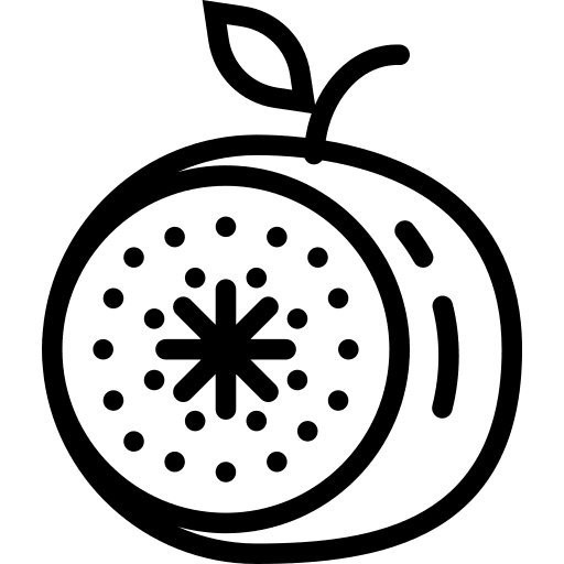 Fig fruit vegetarian food icon