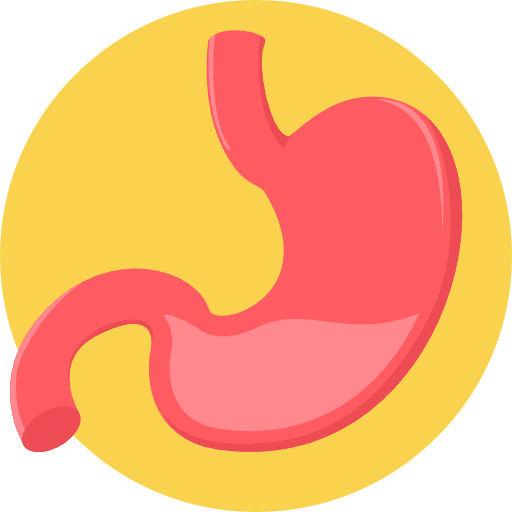 Stomach healthcare and medical medical organ icon