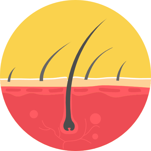 Hair epidermis dermathology hair icon