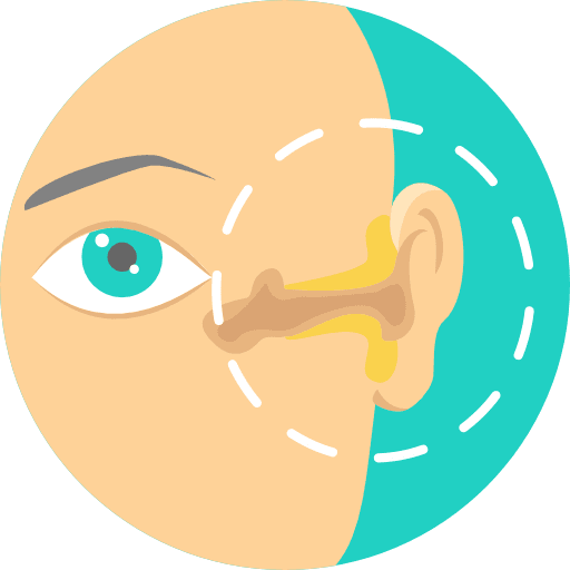 Otorhinolaryngology hospital body part healthcare and medical icon