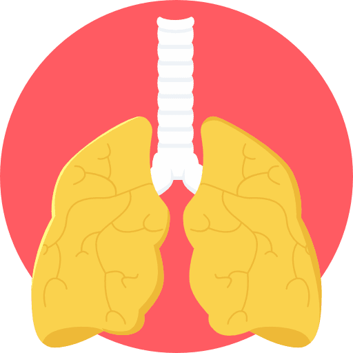 Lungs medical lung lungs icon