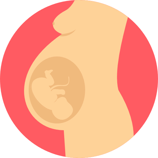 Pregnancy fertility healthcare and medical reproduction icon