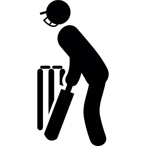 Bats man cricket bat cricket bat icon