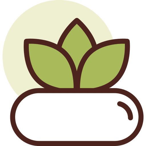 Botanic farming and gardening succulent nature icon