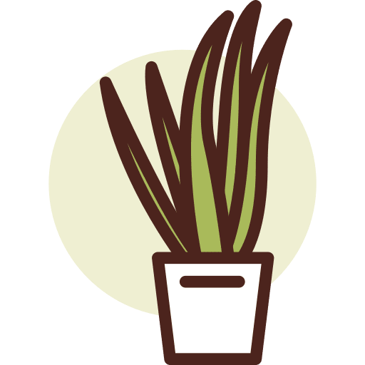 Aloe vera botanic aloe vera nature icon Aloe vera botanic aloe vera nature icon