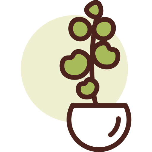Botanic gardening plant botanic icon Botanic gardening plant botanic icon