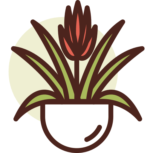 Botanic pot bromeliad botanic icon Botanic pot bromeliad botanic icon