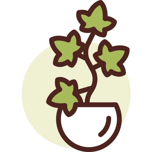 Botanic gardening ivy plant icon Botanic gardening ivy plant icon