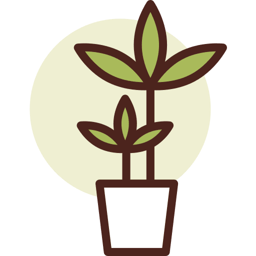 Botanic palm plant botanic icon Botanic palm plant botanic icon