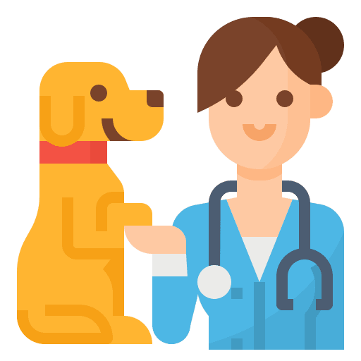 Veterinarian profession woman professions and jobs icon Veterinarian profession woman professions and jobs icon