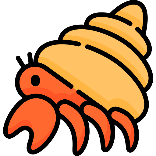 Hermit crab animal kingdom nature wild life icon Hermit crab animal kingdom nature wild life icon