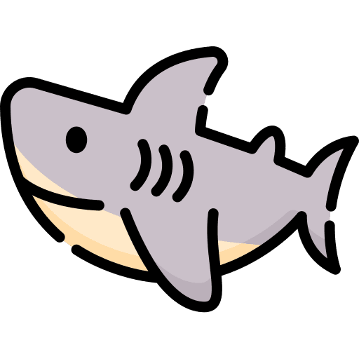 Shark shark fish nature icon