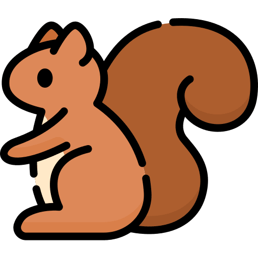 Squirrel animals nature wildlife icon