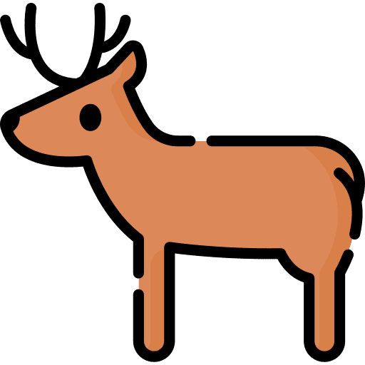 Deer wild life deer animal kingdom icon Deer wild life deer animal kingdom icon