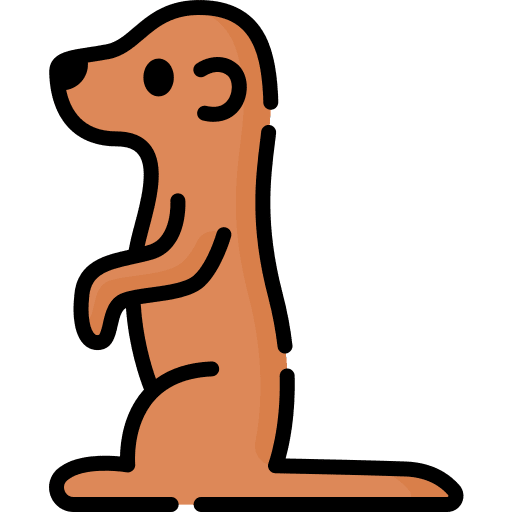 Meerkat animal kingdom meerkat zoo icon Meerkat animal kingdom meerkat zoo icon