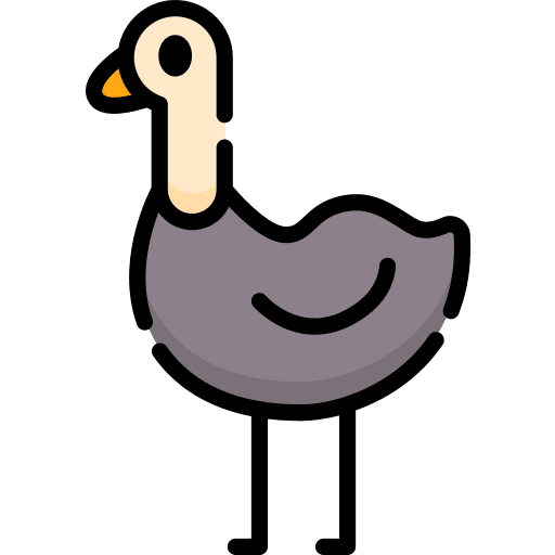 Ostrich bird ostrich animals icon Ostrich bird ostrich animals icon