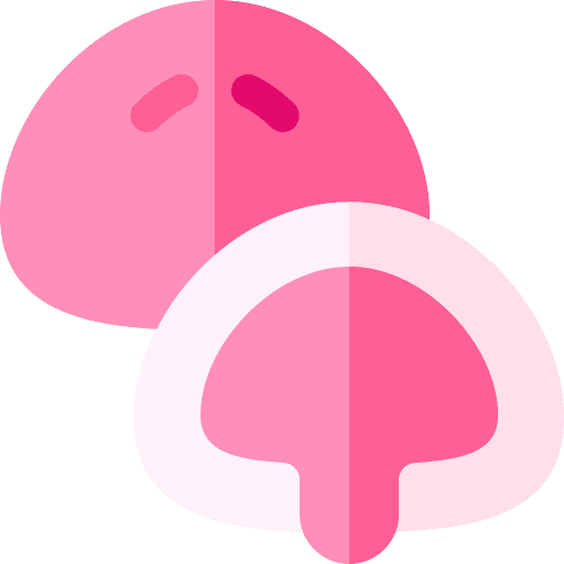Mochi sakura dessert sweet icon