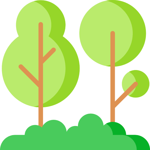 Trees pines forest nature icon