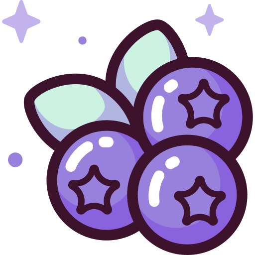 Blueberry berry food dessert icon