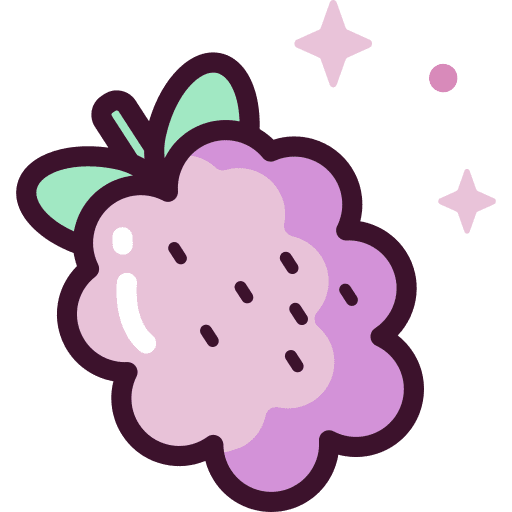 Raspberry diet raspberry nature icon