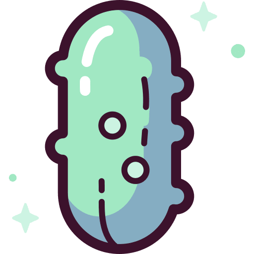 Cucumber vegetables vegetarian food and restaurant icon Cucumber vegetables vegetarian food and restaurant icon
