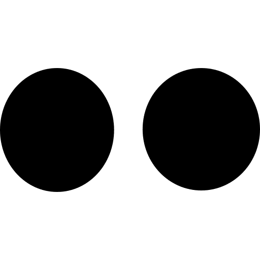 Flickr logo social symbol logotype icon