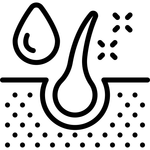 Dermis organ dermatology hair icon
