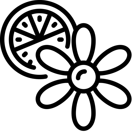 Citrus beauty flower fruit icon