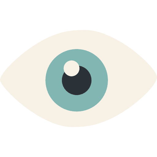 Eye eye people eyes icon