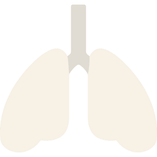 Lungs breath lung organ icon Lungs breath lung organ icon