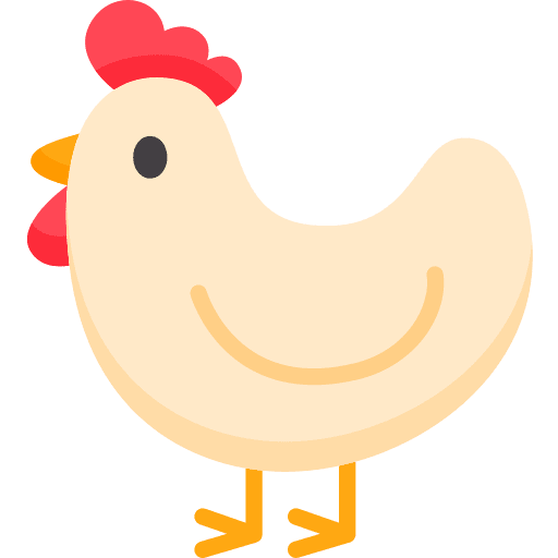 Hen birds animal chicken icon