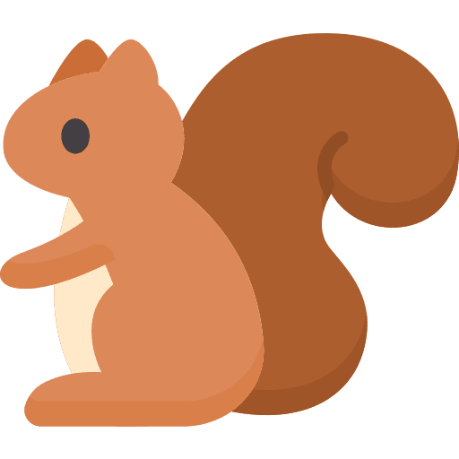 Squirrel rodent nature squirrel icon