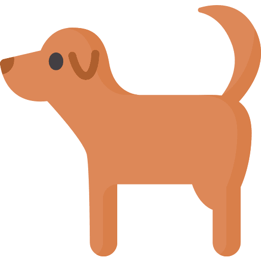 Dog animal pet animal kingdom icon Dog animal pet animal kingdom icon