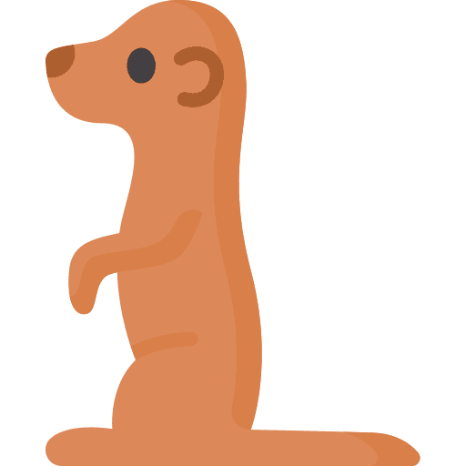 Meerkat animal kingdom nature animal icon Meerkat animal kingdom nature animal icon