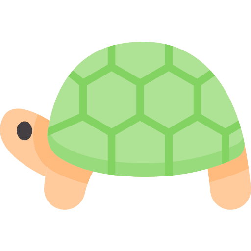 Turtle wildlife zoo nature icon Turtle wildlife zoo nature icon