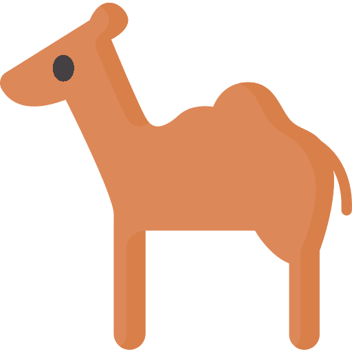 Camel animal kingdom desert nature icon Camel animal kingdom desert nature icon