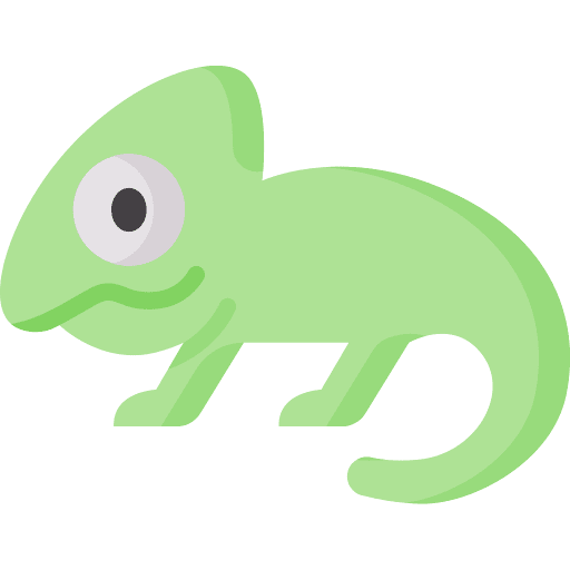 Chameleon animal wildlife reptile icon Chameleon animal wildlife reptile icon
