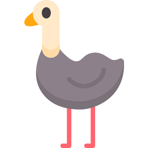 Ostrich nature bird animals icon Ostrich nature bird animals icon