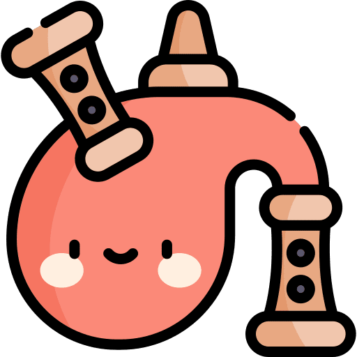 Bagpipe music orchestra music and multimedia icon