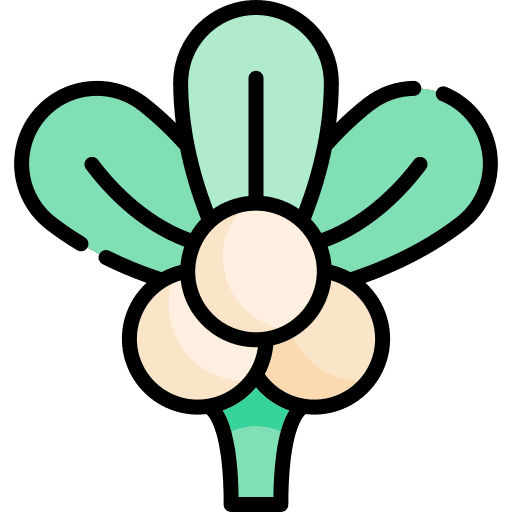 Mistletoe decoration mistletoe ornament icon Mistletoe decoration mistletoe ornament icon