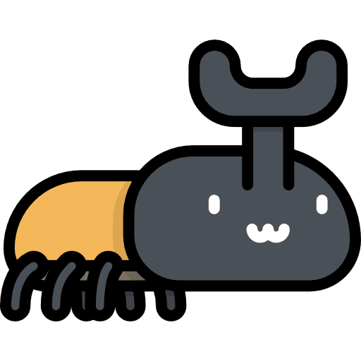 Beetle wild life insect animal icon Beetle wild life insect animal icon