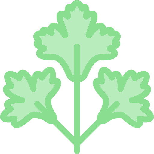 Coriander leaf food and restaurant nutrition icon